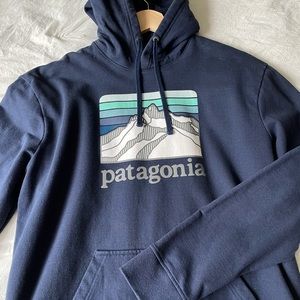 Men’s Patagonia hoodie